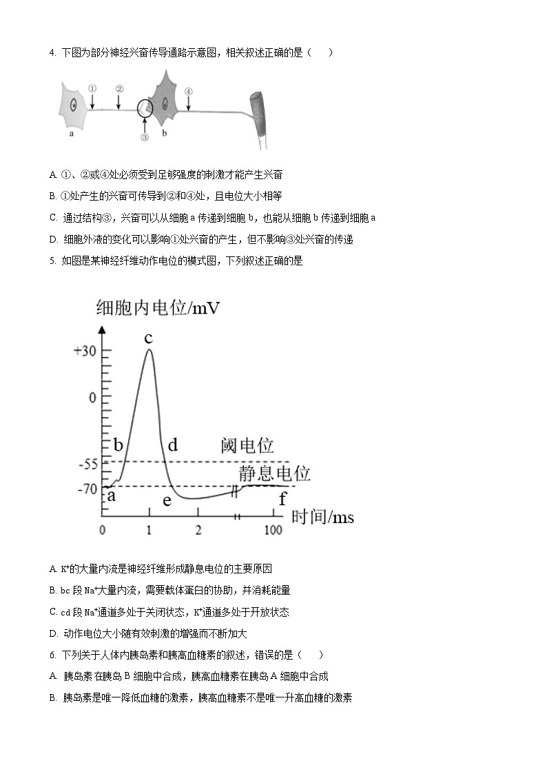 2023阳泉一中高二上学期期中生物试题含解析02