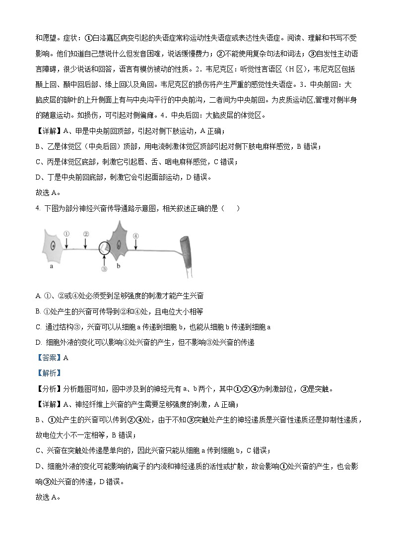 2023阳泉一中高二上学期期中生物试题含解析03
