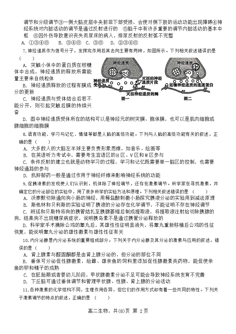 2024辽宁省部分学校高二上学期11月期中考试生物含解析02