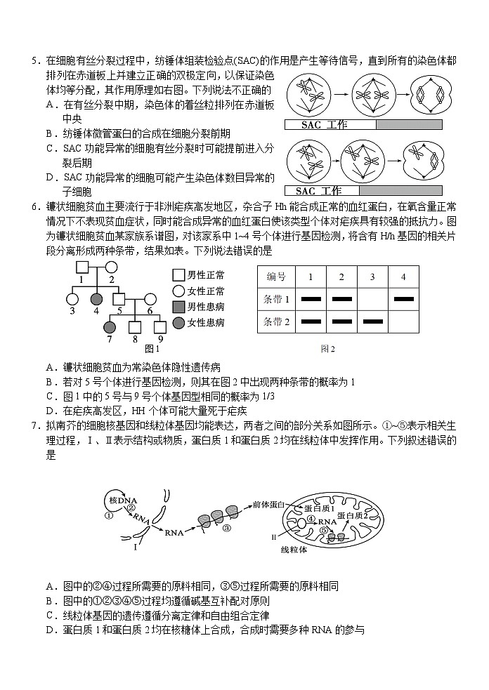 2024浙江省A9协作体高二上学期期中联考生物试题含答案02