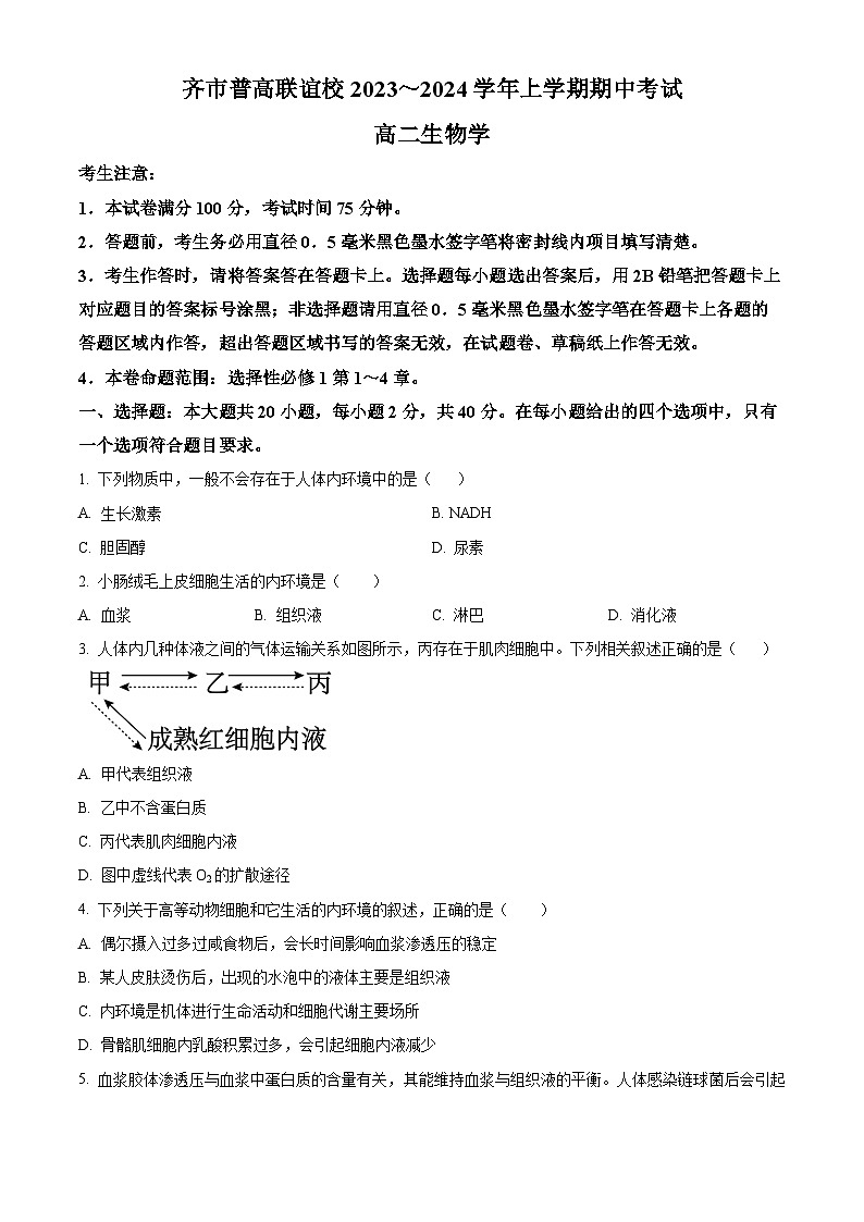 黑龙江省齐齐哈尔市普高联谊校2023-2024学年高二上学期10月期中考试生物（Word版附答案）01