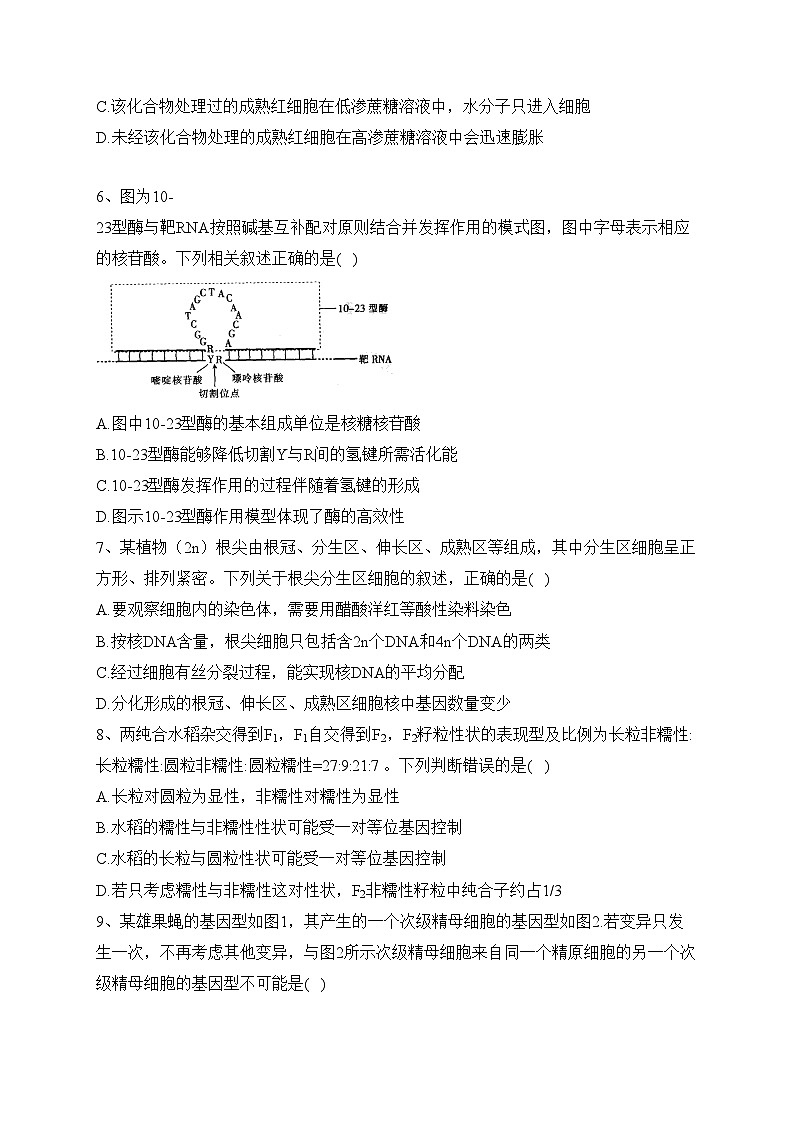 甘肃省白银市靖远县2022-2023学年高三上学期开学考试生物试题(含答案)第2页