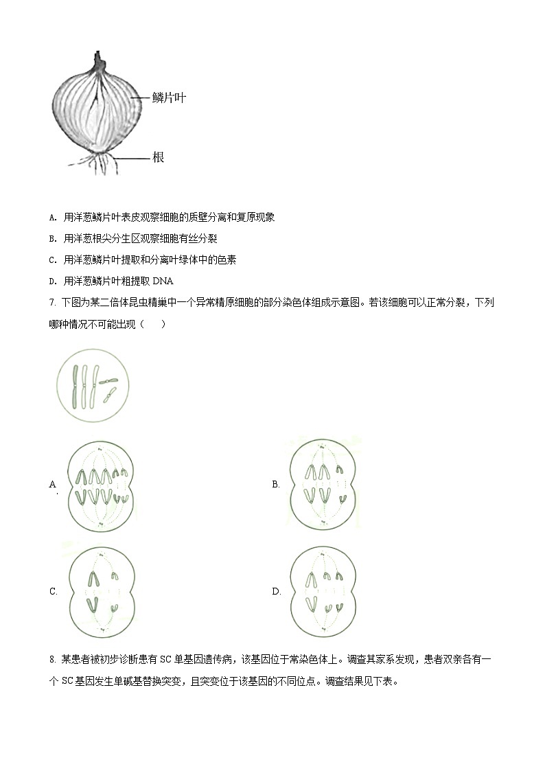 2021年天津市高考生物试卷（原卷版）02