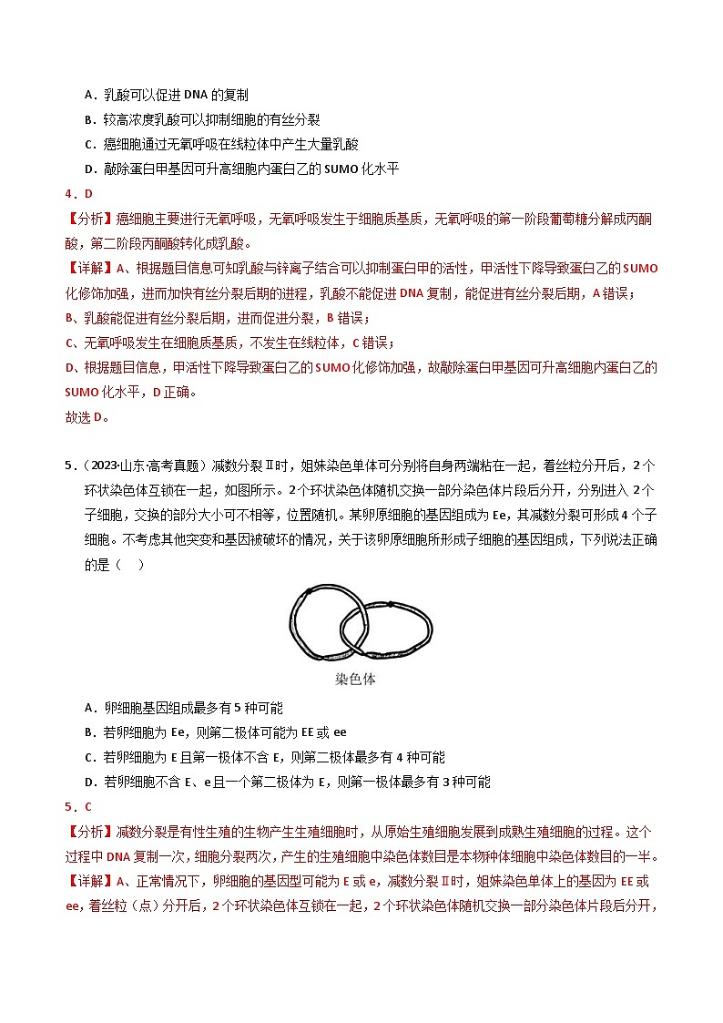 2023年高考生物真题与模拟试卷分项汇编专题04 有丝分裂和减数分裂（含解析）03