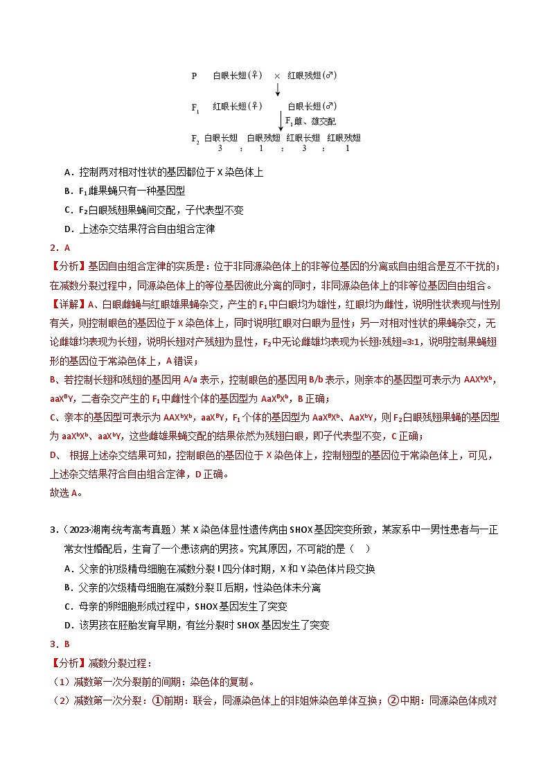 2023年高考生物真题与模拟试卷分项汇编专题08 伴性遗传和人类遗传病（含解析）02