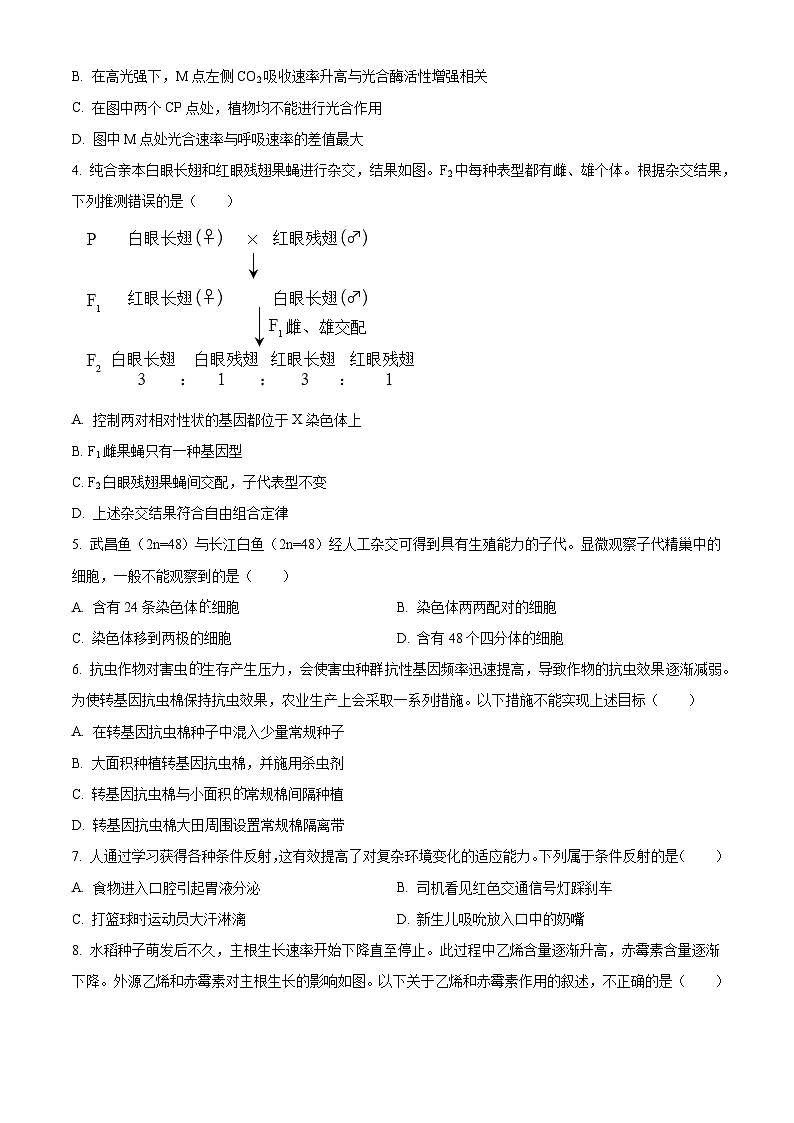 2023年北京高考生物真题（原卷版）02