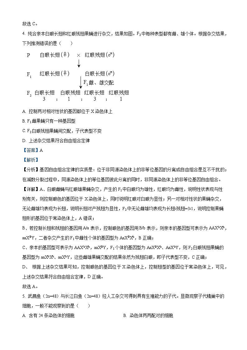 2023年北京高考生物真题（解析版）03