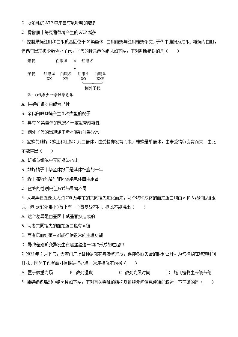 2022年新高考北京生物高考真题（原卷版）02