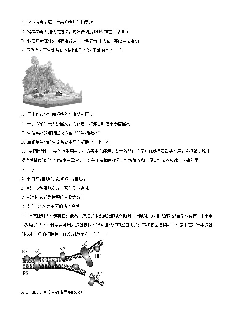 吉林省长春市东北师范大学附属中学2023-2024学年高一上学期期中考试生物（Word版附解析）03