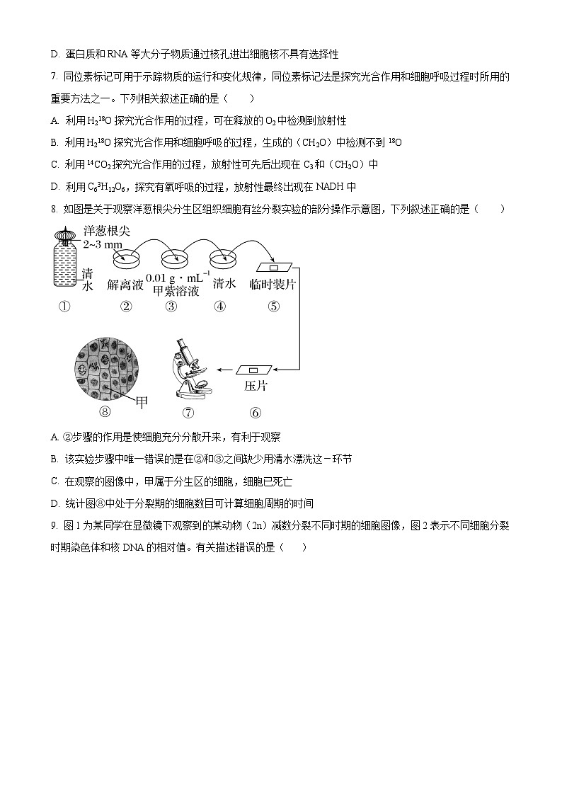 吉林省长春市东北师大附中2024届高三上学期二模试题生物（Word版附解析）03