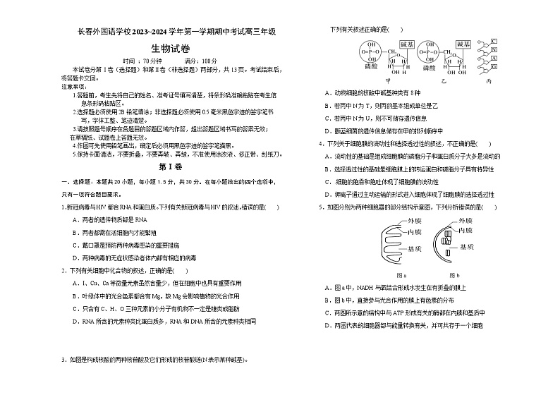 吉林省长春市外国语学校2023-2024学年高三上学期期中考试生物（Word版附答案）01