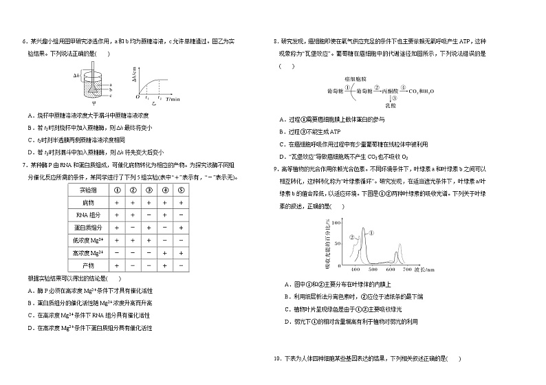 吉林省长春市外国语学校2023-2024学年高三上学期期中考试生物（Word版附答案）02