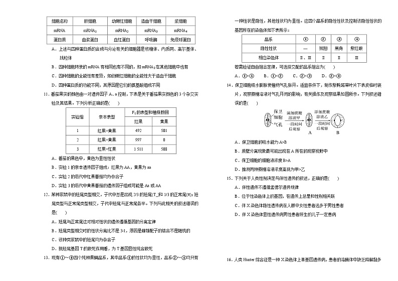 吉林省长春市外国语学校2023-2024学年高三上学期期中考试生物（Word版附答案）03