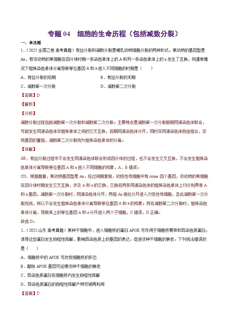 十年(13-22)高考生物分项汇编专题04 细胞的生命历程（包括减数分裂）（含解析）第1页