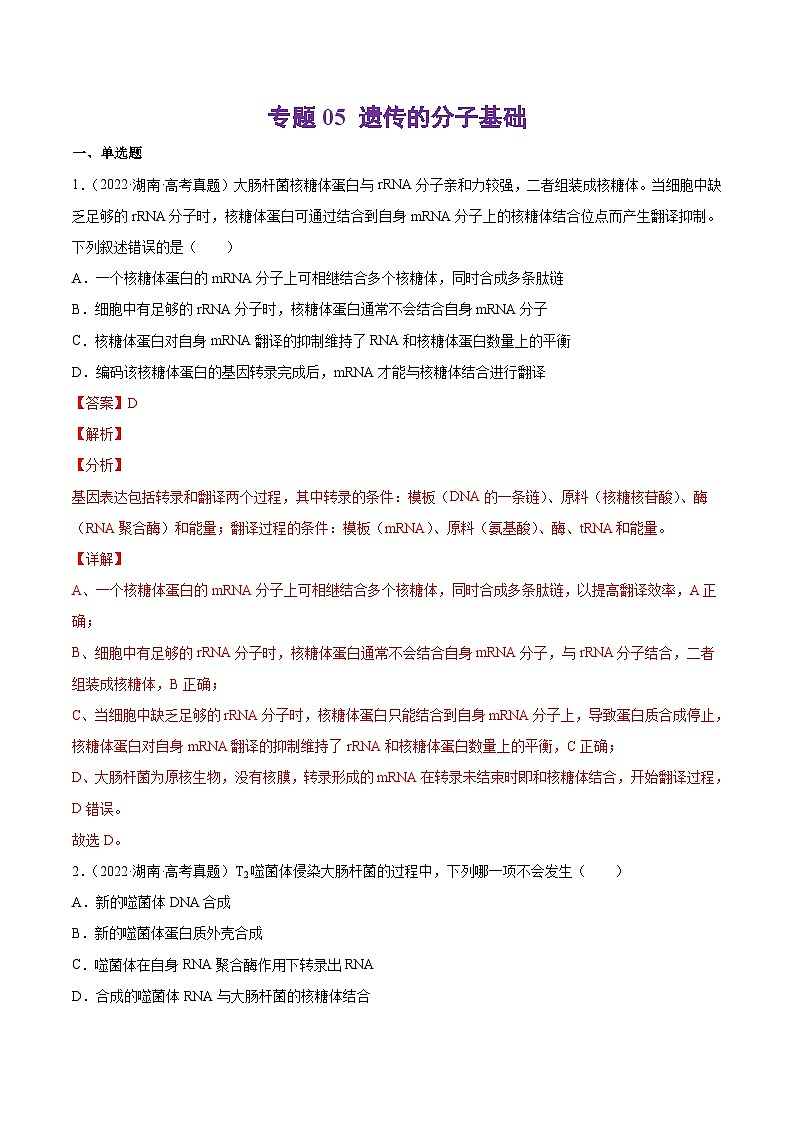 十年(13-22)高考生物分项汇编专题05 遗传的分子基础（含解析）01