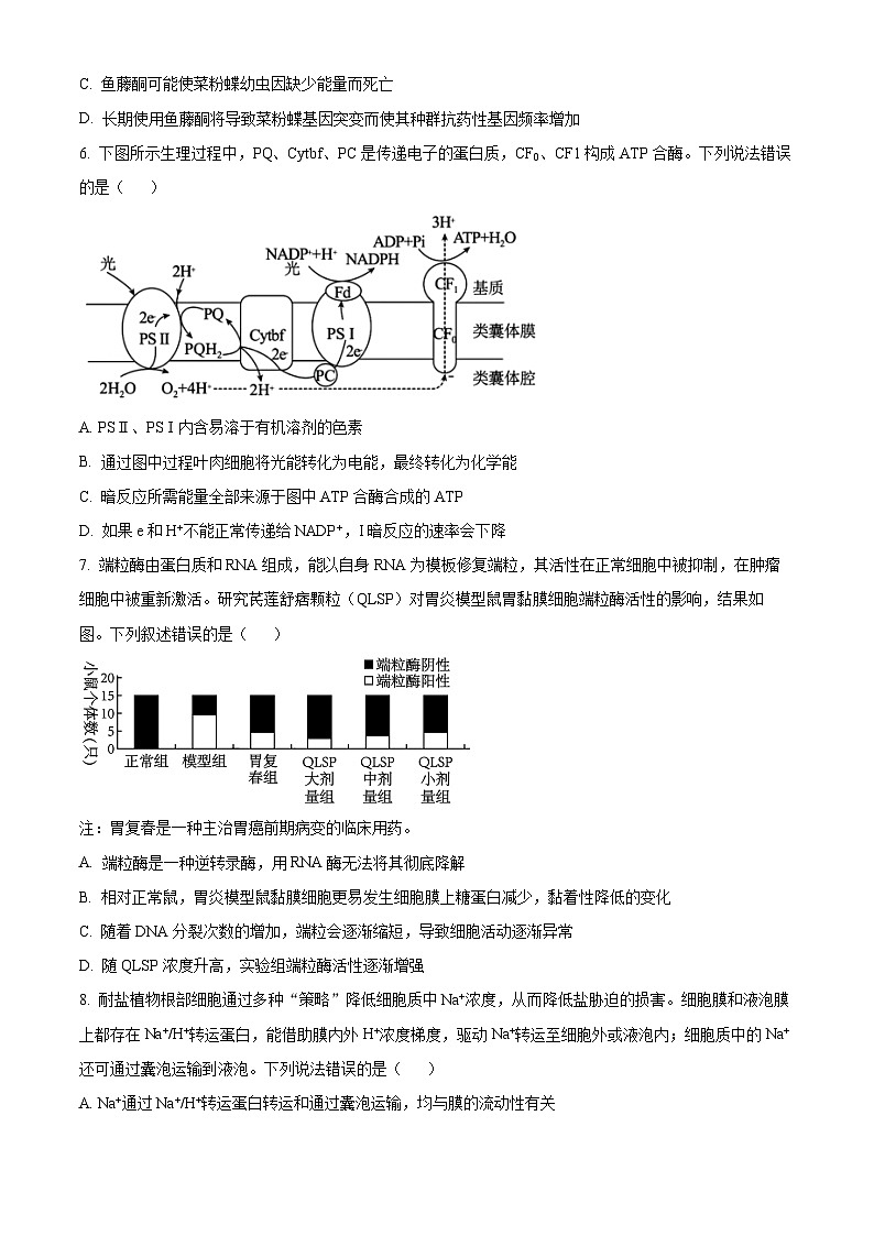 山东省滕州市2023-2024学年高三上学期期中考试生物（Word版附解析）03