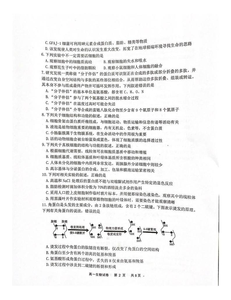 江苏宿迁市泗阳县2023-2024学年高一上学期期中生物学试卷第2页