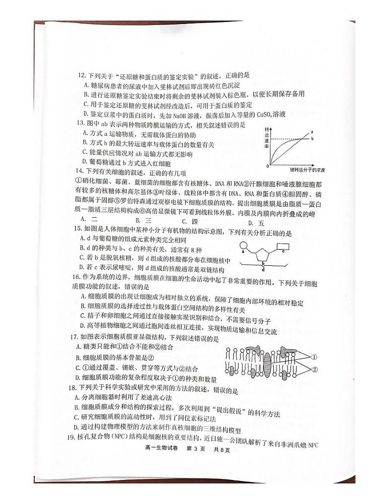 江苏宿迁市泗阳县2023-2024学年高一上学期期中生物学试卷第3页