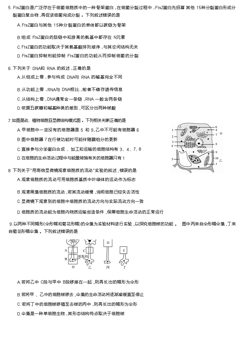 2022-2023学年湖南省三湘名校教育联盟高一上学期期中联考生物试卷02