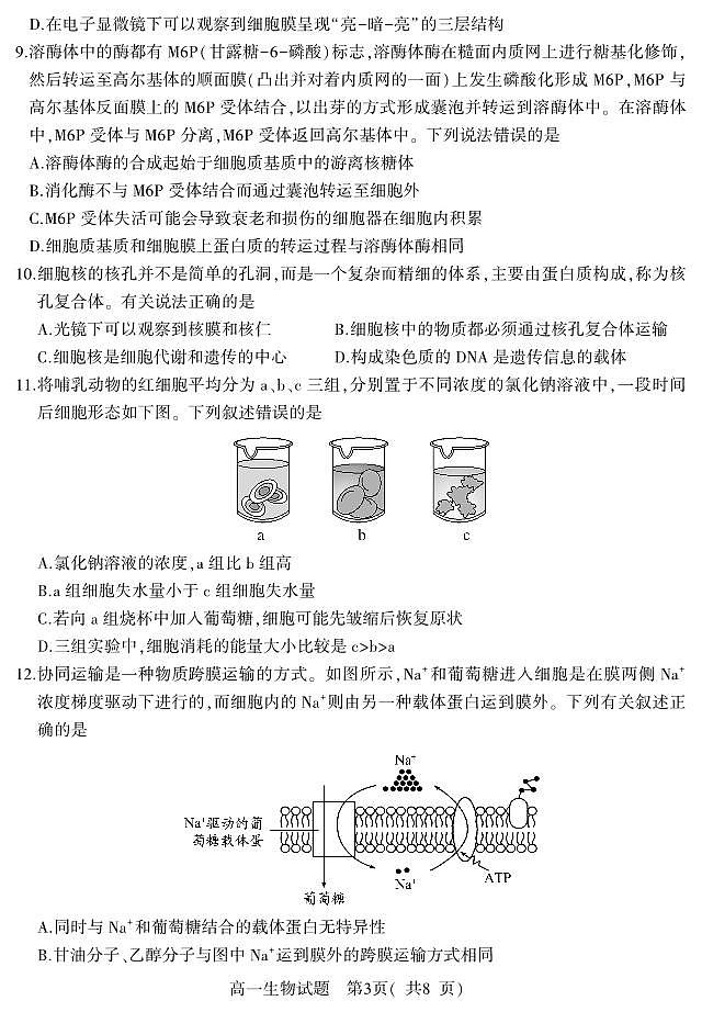 2022-2023学年山东省潍坊安丘市高一上学期期中考试 生物 PDF版第3页
