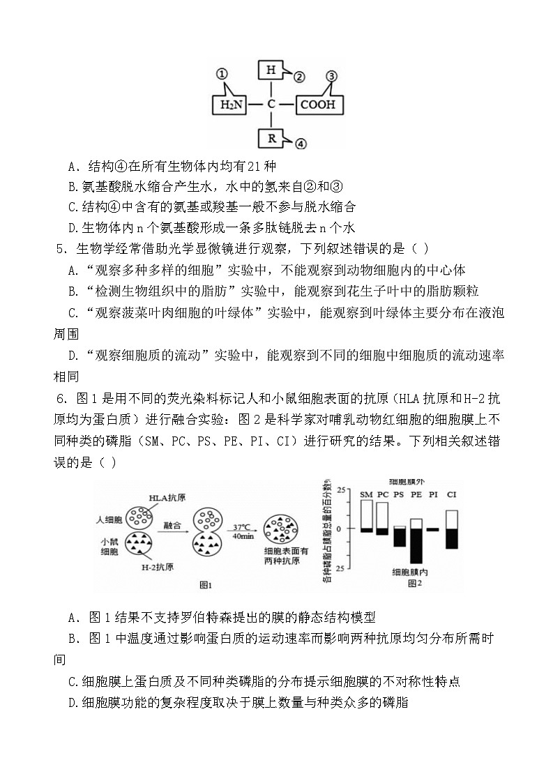 2022-2023学年河北省定州市高一上学期期中考试生物试题第2页