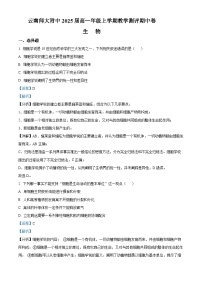 2022-2023学年云南师范大学附中高一上学期期中生物试题（解析版）