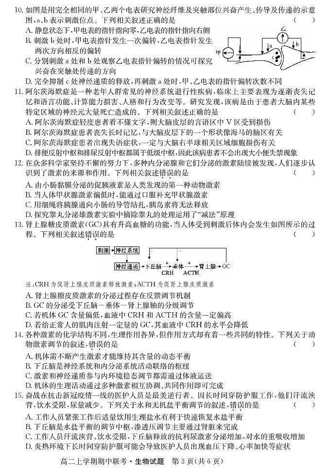 安徽省十校联考2022-2023学年高二上学期期中考试生物试卷（PDF版，含解析）03