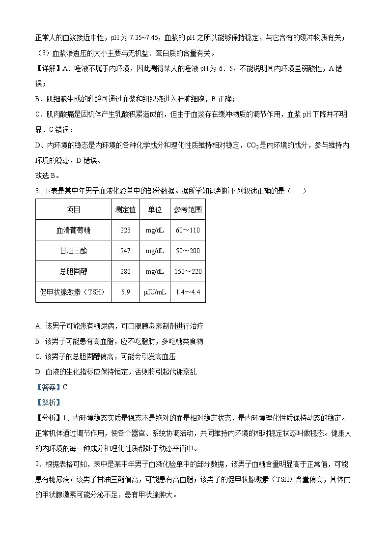 四川省绵阳南山中学实验学校2023-2024学年高二生物上学期10月月考试题（Word版附解析）第2页