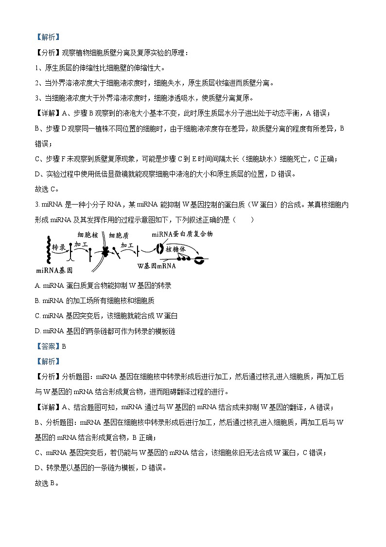 四川省广安市二中2023-2024学年高三生物上学期10月月考试题（Word版附解析）02