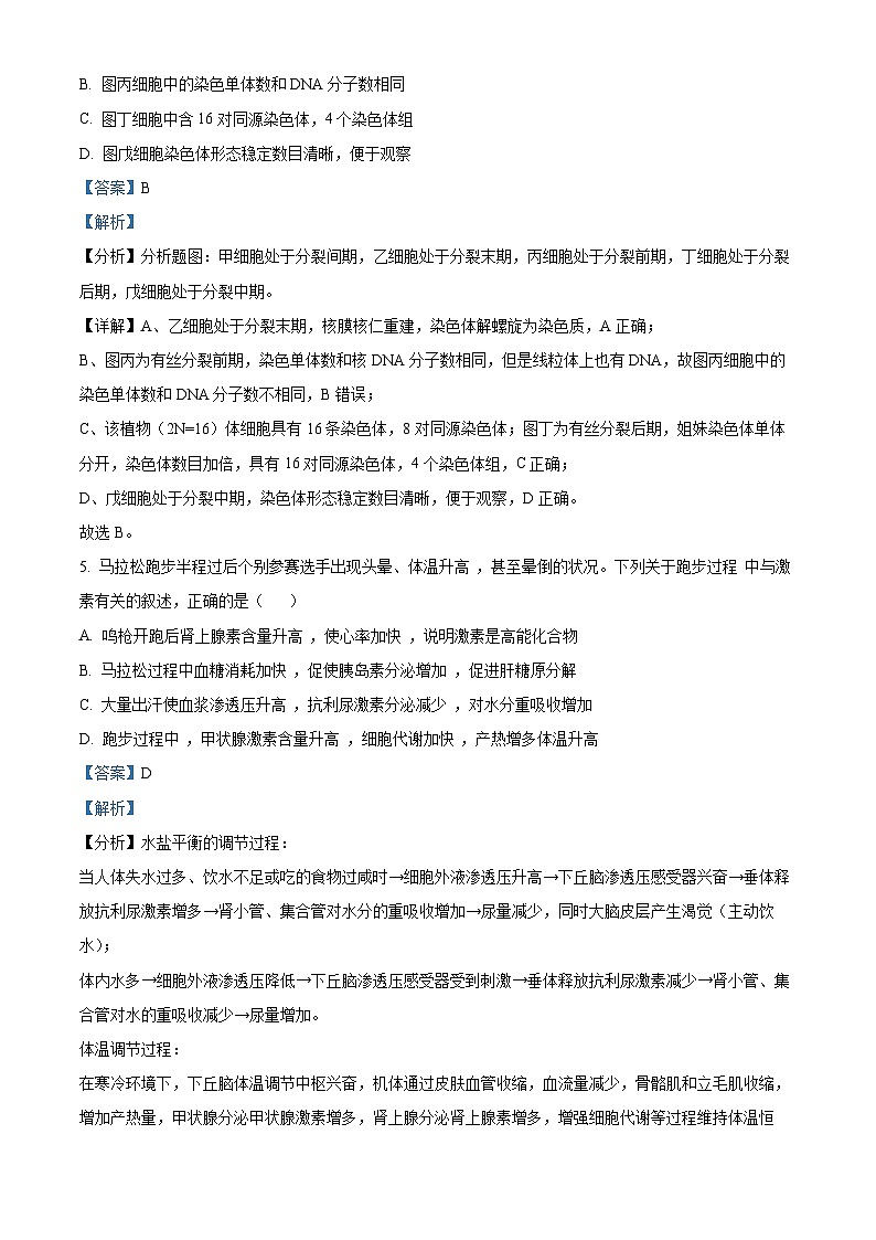 四川省泸州市泸县五中2023-2024学年高三生物上学期10月月考试题（Word版附解析）第3页