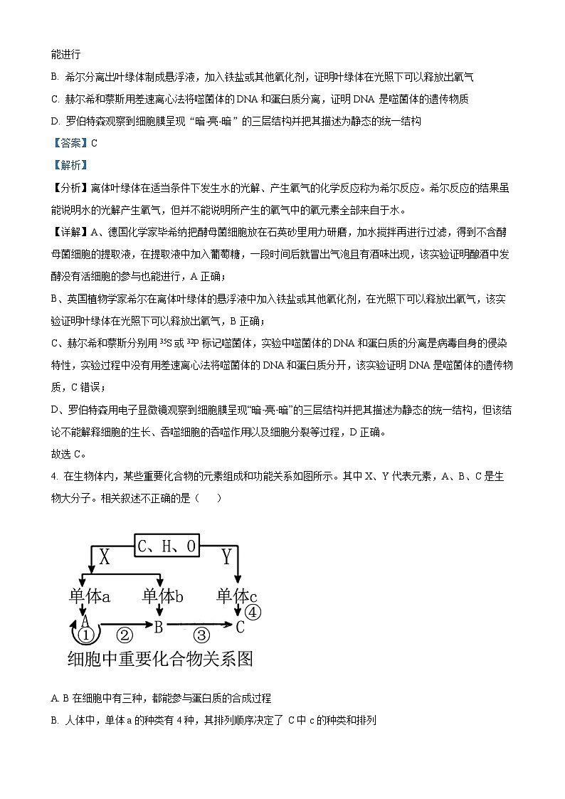 河南省南阳市2023-2024学年高三上学期期中生物试题（解析版）03