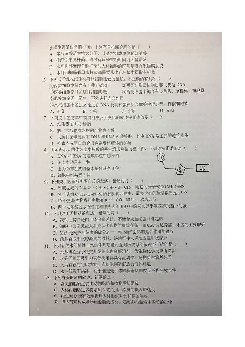 安徽省六安第一中学2023-2024学年高一上学期期中考试生物试题第2页