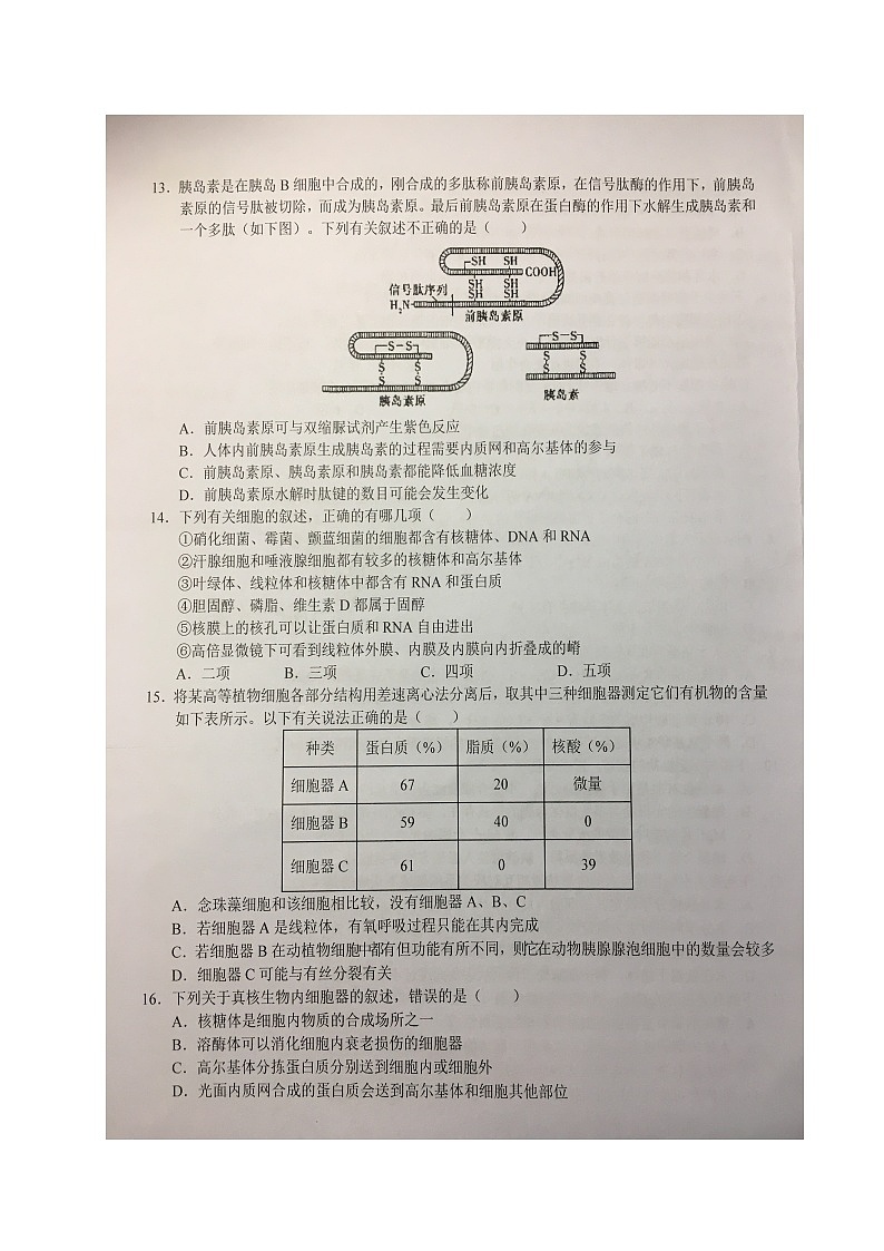安徽省六安第一中学2023-2024学年高一上学期期中考试生物试题第3页