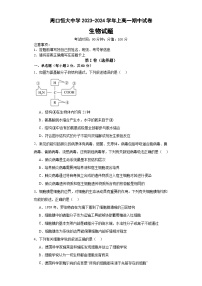 河南省周口恒大中学2023-2024学年高一上学期11月期中生物试题