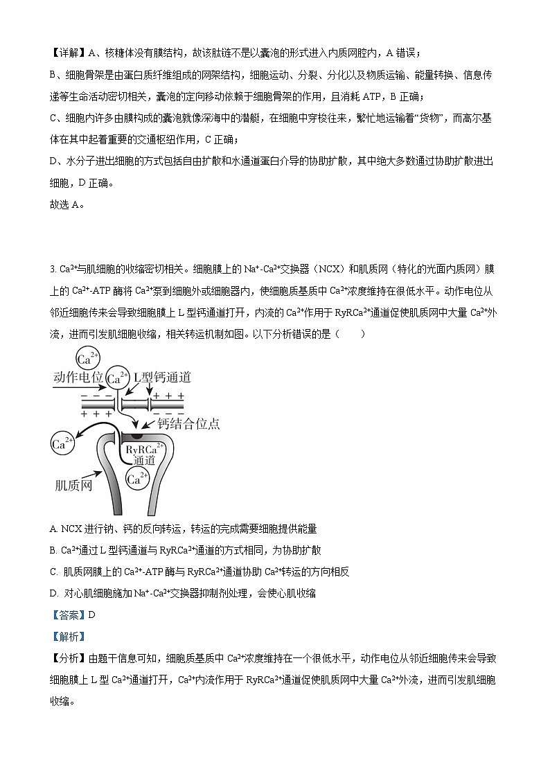 江苏省如皋中学2023-2024学年高三上学期阶段考试（二）生物试题（解析版）02
