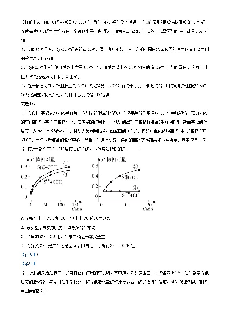 江苏省如皋中学2023-2024学年高三上学期阶段考试（二）生物试题（解析版）03