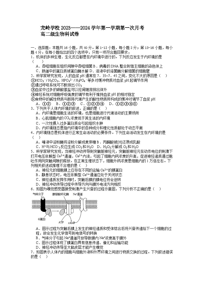 广东省汕头市潮南区龙岭中英文学校2023-2024学年高二上学期10月月考生物试题第1页