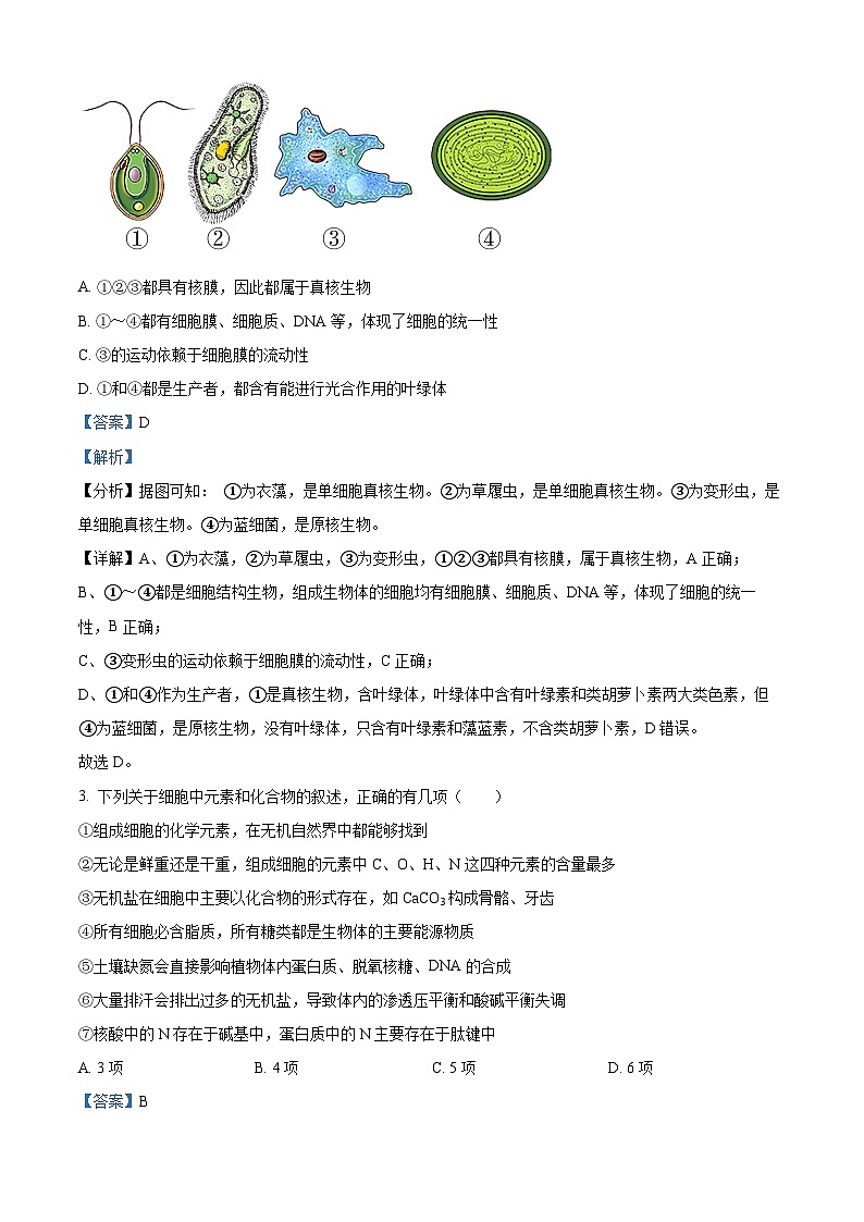 江西省上饶中学2023-2024学年高一上学期期中生物试题（解析版）02