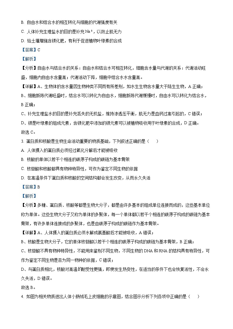 新疆喀什二中2023-2024学年高三上学期期中生物试题（解析版）02