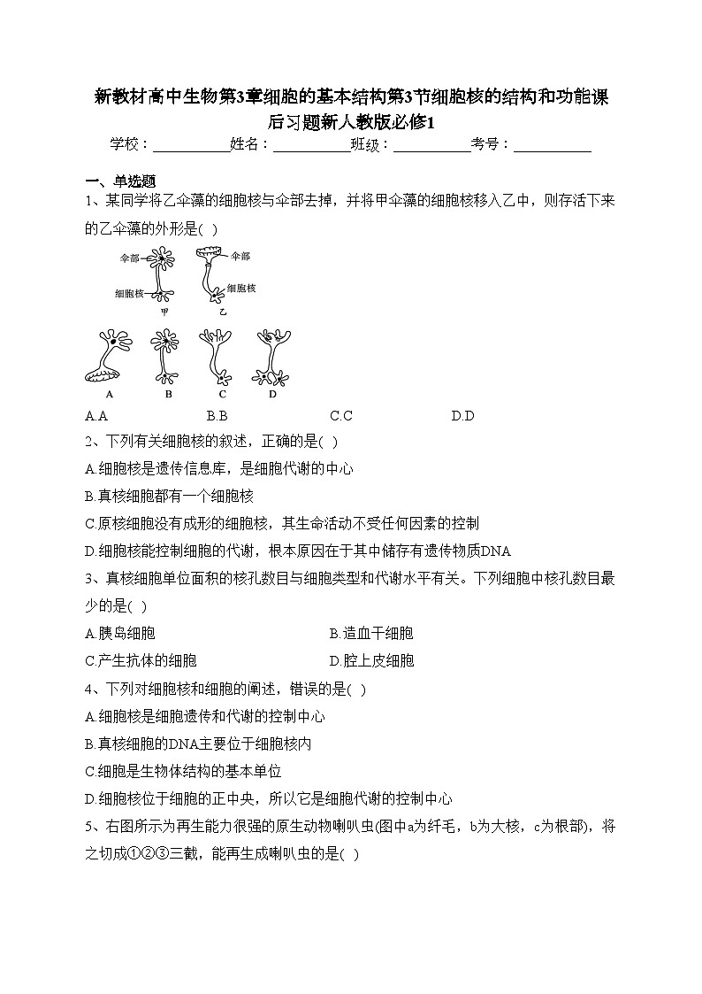 新教材高中生物第3章细胞的基本结构第3节细胞核的结构和功能课后习题新人教版必修1(含答案)01