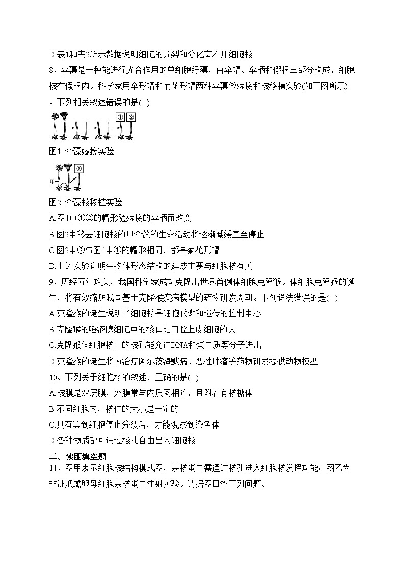 新教材高中生物第3章细胞的基本结构第3节细胞核的结构和功能课后习题新人教版必修1(含答案)03