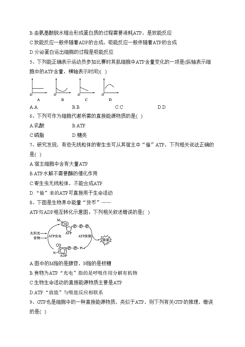 新教材高中生物第5章细胞的能量供应和利用第2节细胞的能量“货币”ATP课后习题新人教版必修1(含答案)第2页