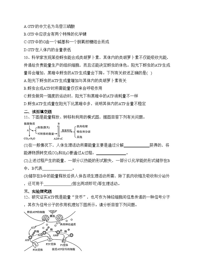 新教材高中生物第5章细胞的能量供应和利用第2节细胞的能量“货币”ATP课后习题新人教版必修1(含答案)第3页