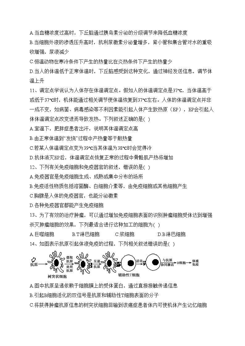 辽宁省县级重点高中2023-2024学年高二上学期期中考试生物试卷(含答案)03