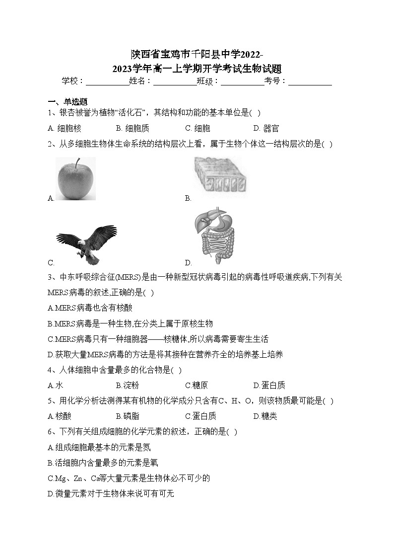 陕西省宝鸡市千阳县中学2022-2023学年高一上学期开学考试生物试题(含答案)01
