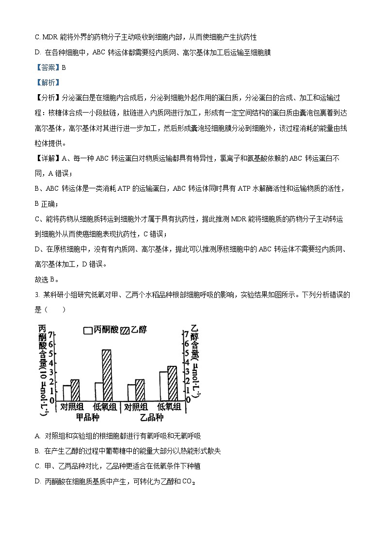 四川省攀枝花市七中2023-2024学年高三生物上学期第四次诊断性试题（Word版附解析）02