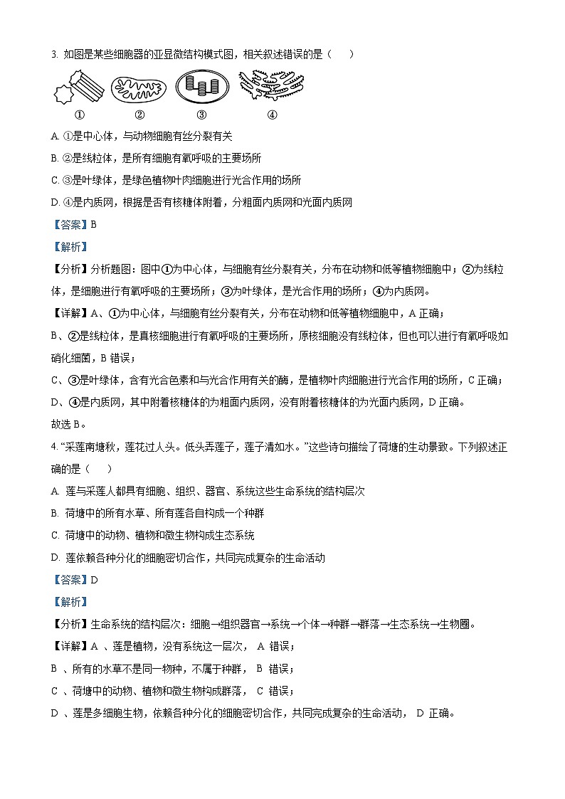 天津市北辰区华辰学校2023-2024学年高一生物上学期10月阶段训练试题（Word版附解析）第2页