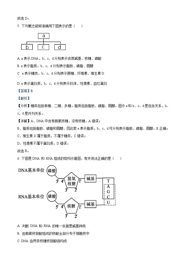 天津市北辰区华辰学校2023-2024学年高一生物上学期10月阶段训练试题（Word版附解析）第3页