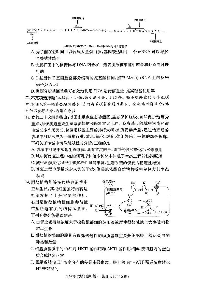 2024届湖南省长沙市雅礼中学高三上学期第一次月考试题 生物 PDF版03