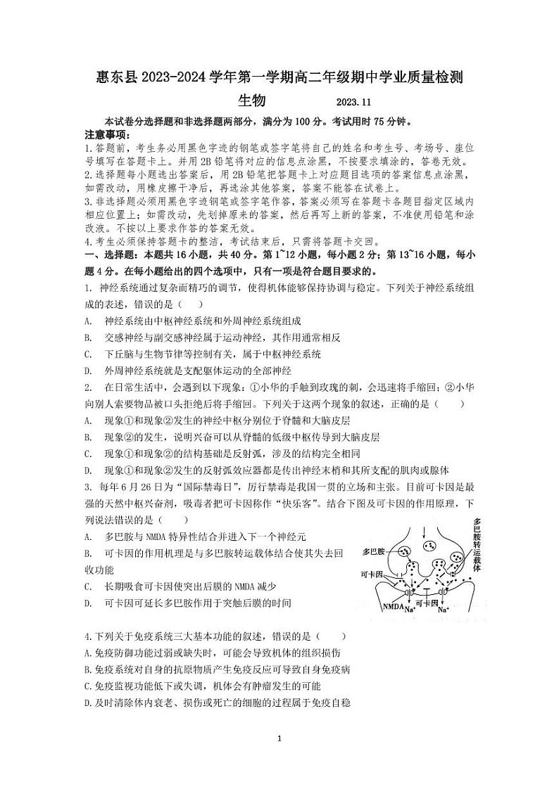 广东省惠东县2023-2024学年高二上学期期中学业质量检测生物试题01